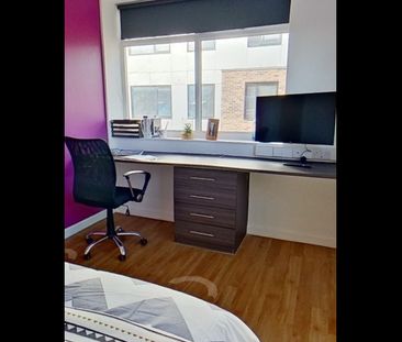 Room in a Shared Flat, South Hunter Street, L1 - Photo 3