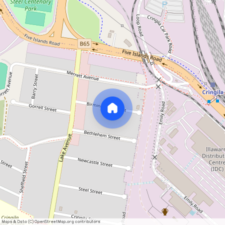 15 Birmingham Street, Cringila 2502, New South Wales