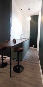Location Appartement 1 pièce 24m² - Photo 3