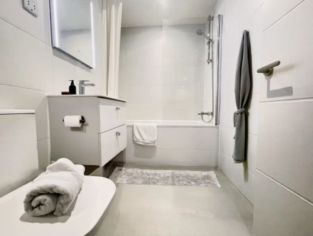 1 Bedroom 1 Bathroom - Photo 4
