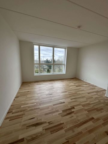 Roskildevej 33B, 2. lejl. 302, 2000 Frederiksberg - Photo 2