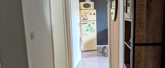 2-Raumwohnung-aus gesundheitlichen Gründen neuer NM 1.12 - Foto 1