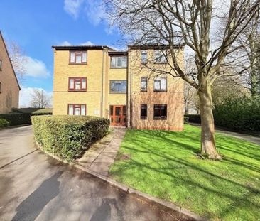 1 bedroom Flat To Let - Photo 5