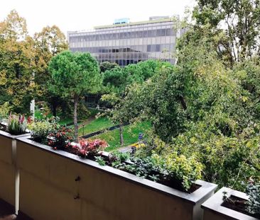 Via Luigi Pellizzo, Padova, Veneto 35128 - Photo 6