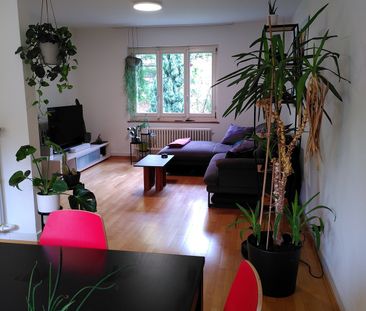 MAISON DE 3 PIÈCES À WINTERTHOUR - OBERWINTERTHUR, MEUBLÉE, TEMPORAIRE - Foto 2