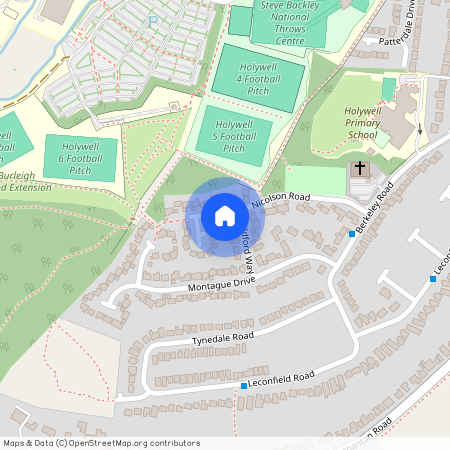 Nicolson Road, LOUGHBOROUGH