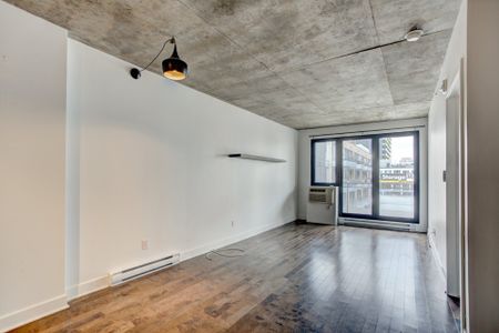 Condo for rent, Montréal (Le Sud-Ouest) - Photo 2