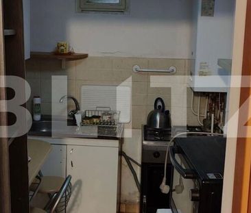 Apartament 1 camera la casa, curte, 35 mp, zona strazii Bistritei - Fotografie 4