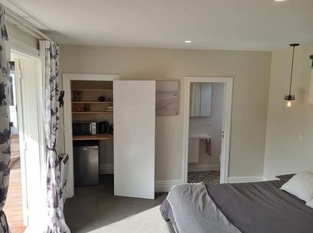 Charming Petone 3BR Home (sleep out optional) - Photo 3