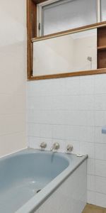 You've Cott Mail! - Photo 3