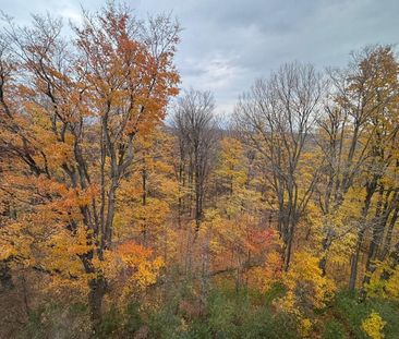 For Lease - 1100 Lackner Place Unit# 505, Kitchener, Ontario - Photo 5