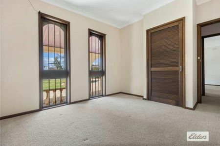 "As rare as hens' teeth" - Photo 5