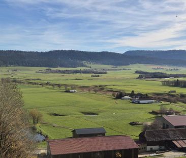 Grand jardin - Photo 4