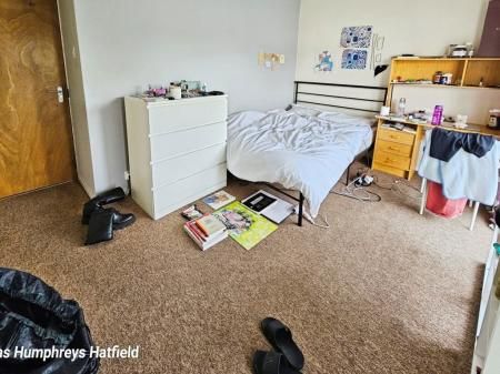 Coney Close - Photo 4