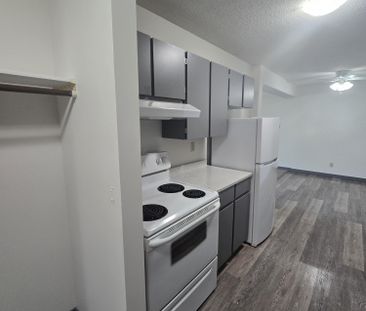 Spacious Two Bedroom unit on South Hill - Photo 3