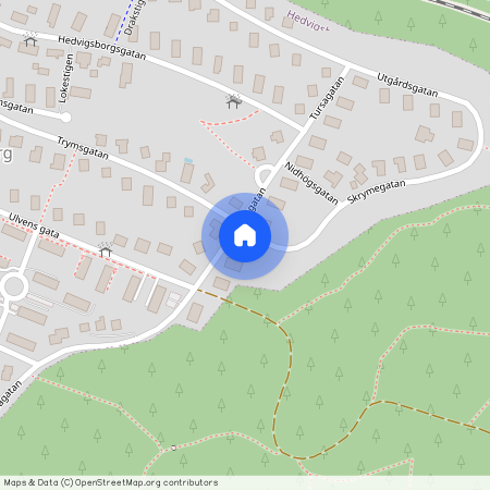 Hedvigsborg, Tursagatan 32