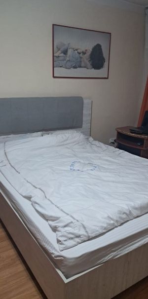 De inchiriat garsoniera in zona Tineretului - Fotografie 1