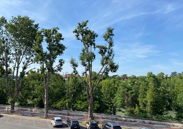 Appartamento luminoso – Prati Delle Vittorie, Lungotevere della VITTORIA – 01AF6374