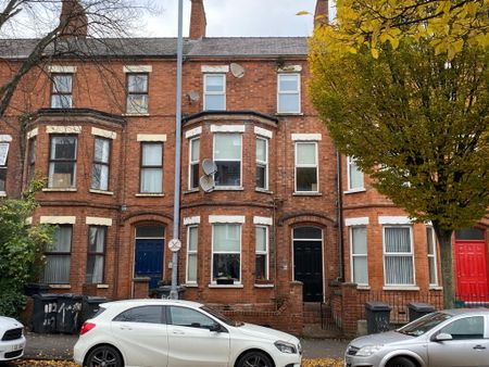 Apt 2, 116 Eglantine Avenue, Belfast, BT9 6EU - Photo 3