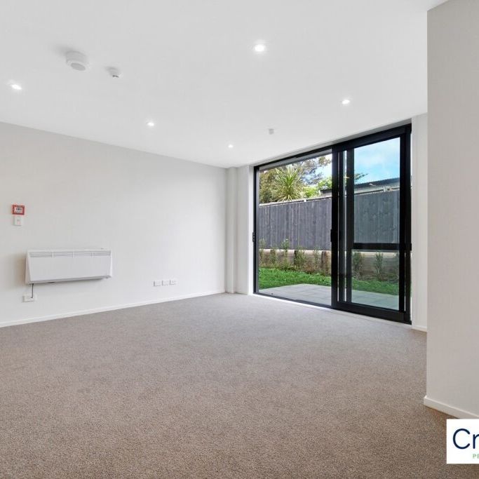 Brand New Apartment At The Heart Of Te Atatu South - Photo 1