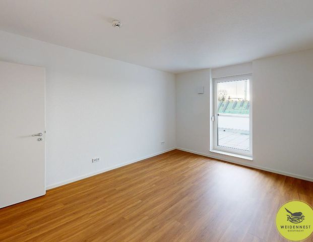 Moderne 3-Zimmer-Wohnung mit EBK, Dachterrasse und Kellerraum - Photo 1