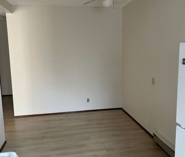 1 Bedroom Apartment in Caswell Hill - Photo 4