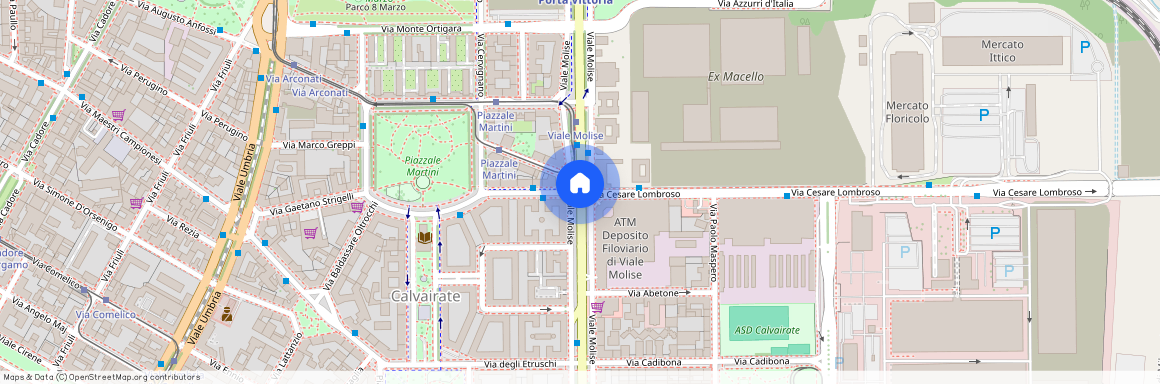 Viale Molise, Milan, Lombardy 20137