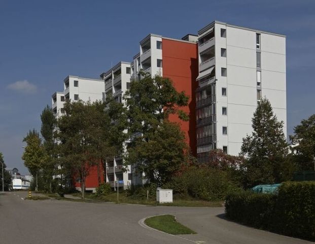 Apartment near Lake Greifensee - Photo 1