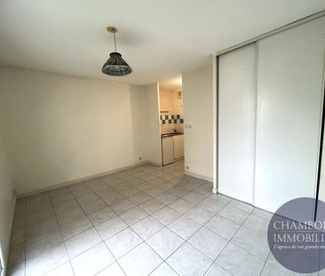BLOIS - Avenue de Vendôme - Studio - Photo 4