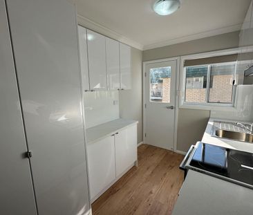Renovated 3 Bedroom 1 Bathroom Unfurnished Apartment! - Photo 6
