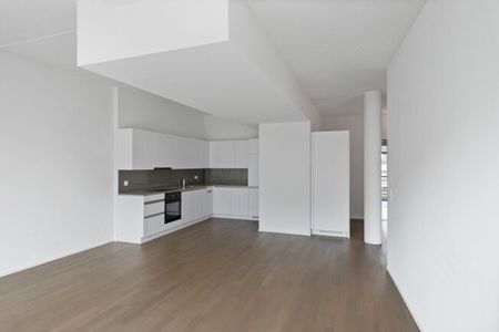 Living at Sihlhof, near the train station - Photo 3