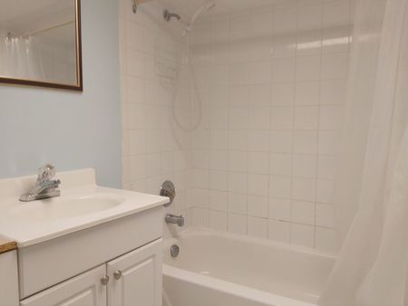 For Lease - 12 Glenstroke Drive Unit# Basement, Toronto, Ontario - Photo 5