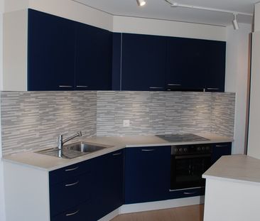 Appartement 2.5 pièces au centre du village - Photo 1
