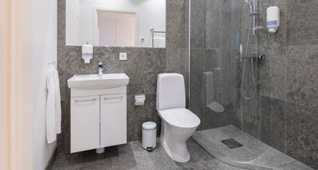 Storgatan, Växjö - Photo 5