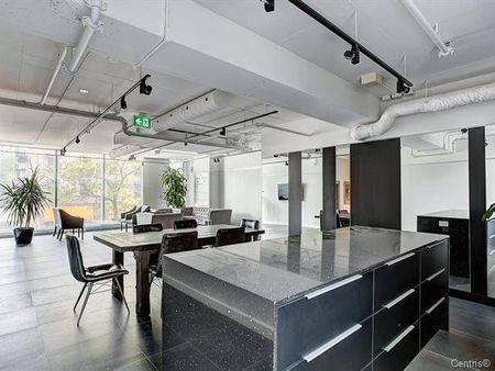 Condo for rent, Montréal (Ville-Marie) - Photo 4