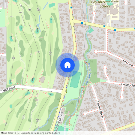 169 Portage Road, New Lynn, Waitakere City