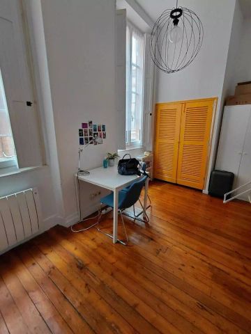 location Appartement T1 DE 20.62m² À TOULOUSE - Photo 5