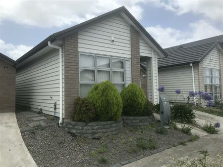 Modern on Moho - Photo 5