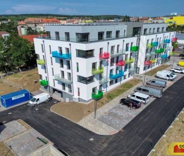 Znojmo, pronájem bytu OV 2+kk, 62 m - Photo 6