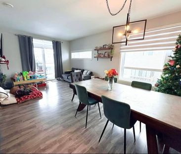 Accepte Les Chiens / Logement Moderne - Photo 1