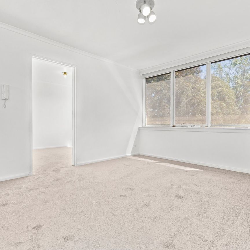 12/10A Mason Street, Hawthorn VIC 3122 - Photo 1