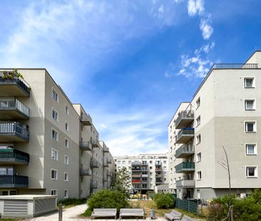 DG-Wohnung mit großer Terrasse im Viola Park | 6. OG mit Lift - Photo 3