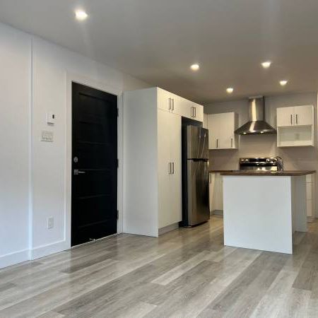 Rosemont - Superb 4 1/2 Renovated - July 1st - Photo 3