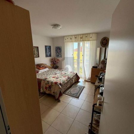 TRANQUILLO E SOLEGGIATO - Photo 3