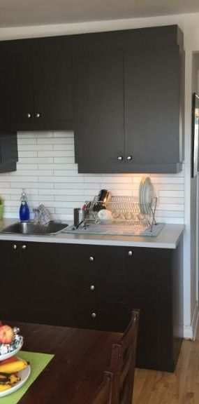 5 1/2 - Montréal (Hochelaga / Maisonneuve) - 1 700 $/mois - Photo 1