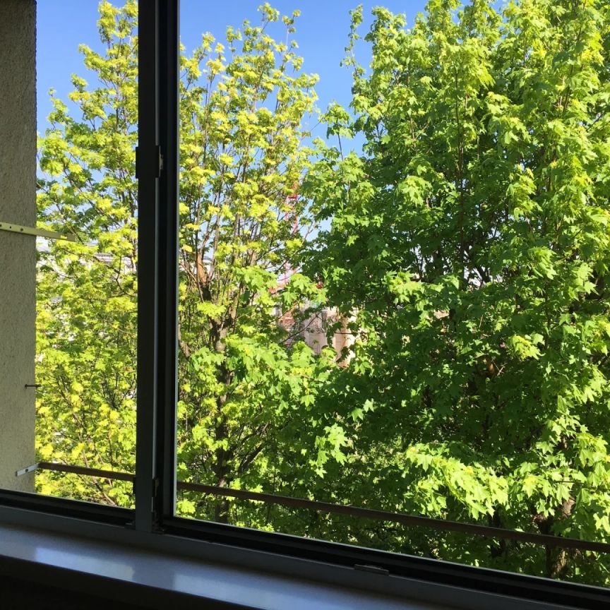 1190! Gut aufgeteilte 2-Zimmer Wohnung mit Blick in´s Grüne ab Juni 25 in Oberdöbling! - Photo 1
