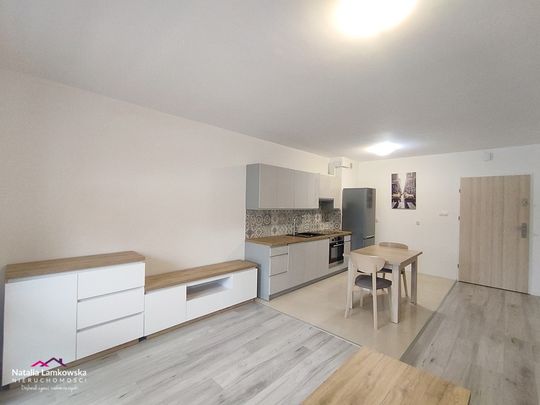 Grudziądz, Nowy Rządz Mieszkanie na wynajem - Zdjęcie 1