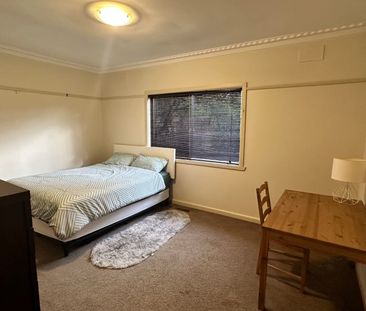 Boronia - Photo 4