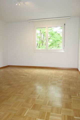 Im Herzen von Zürich - Foto 3