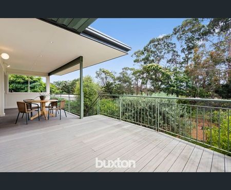 69 Ardoyne Street, Black Rock VIC 3193 - House For Rent | Domain - Photo 4